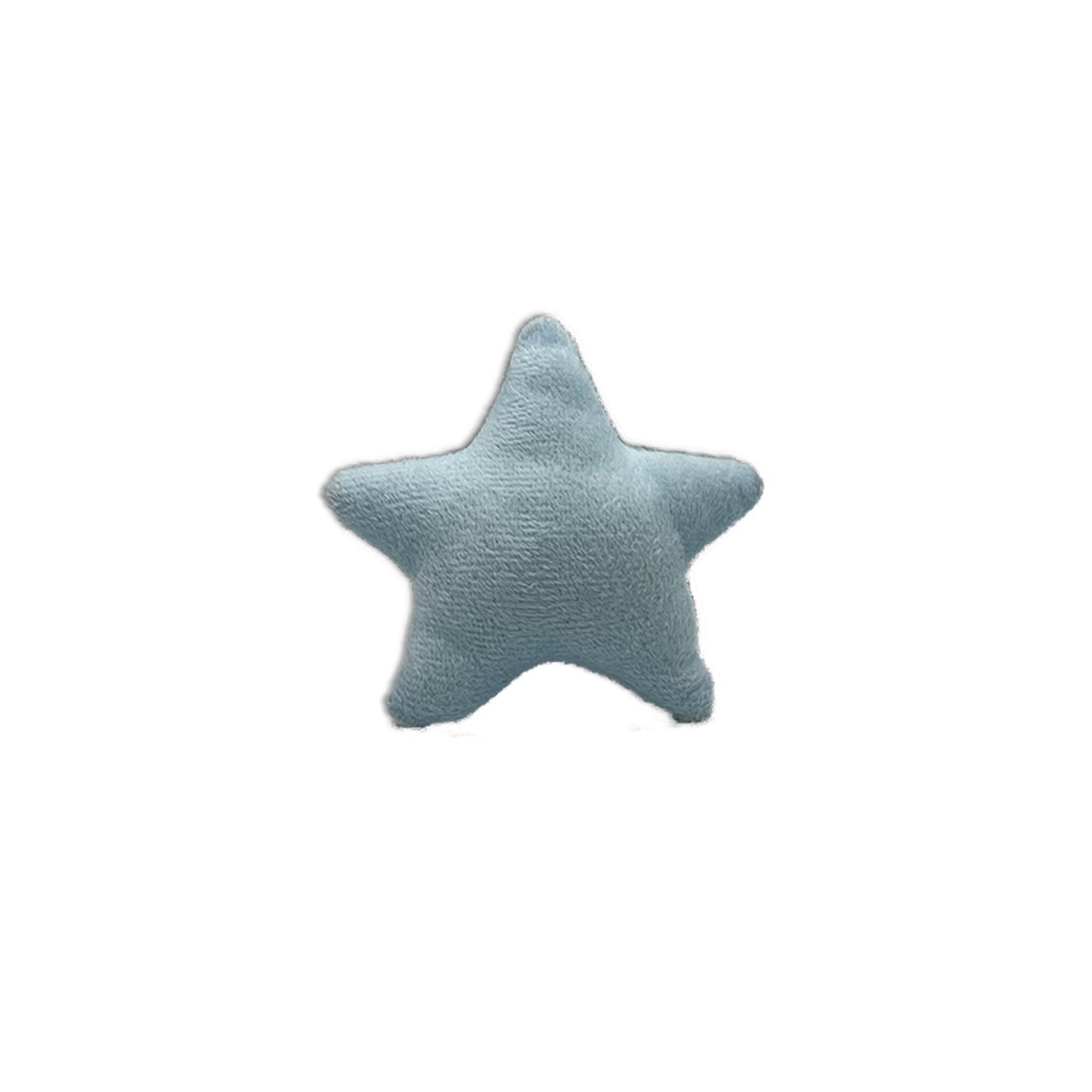 Teddy blue star